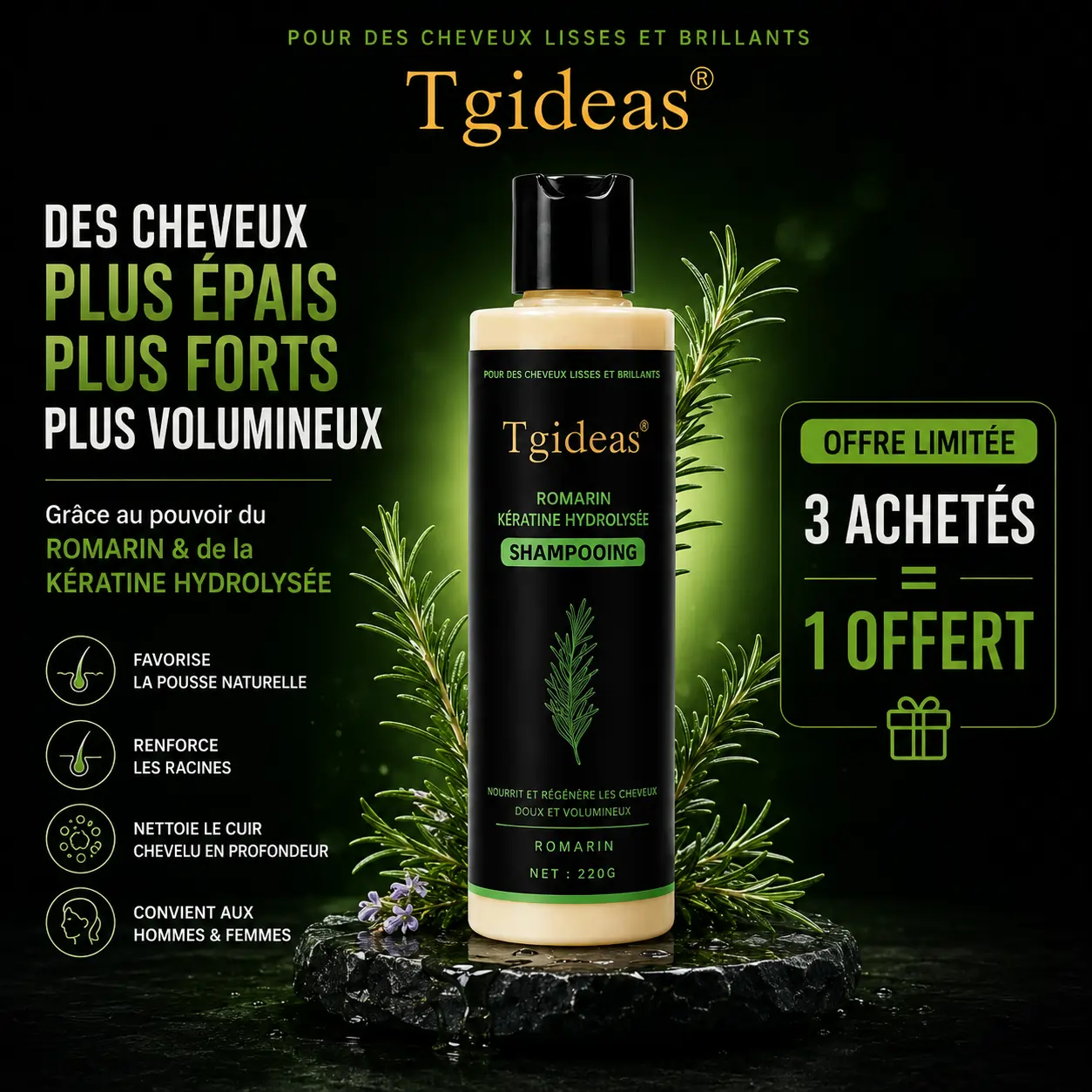 Offre 1